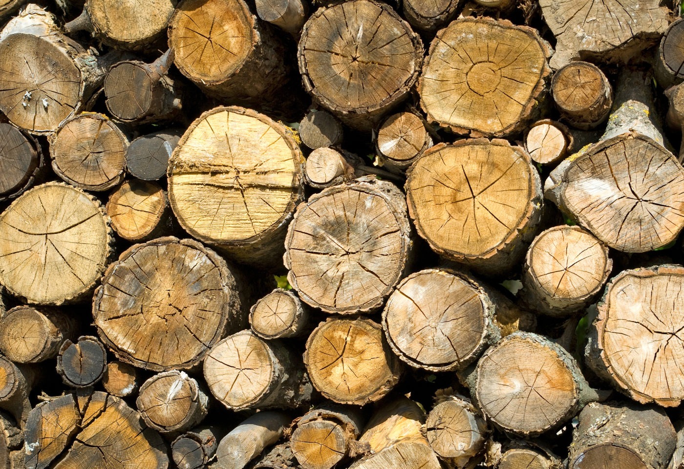 The Canada-US Softwood Lumber Agreement expires on Oct. 12, 2015.