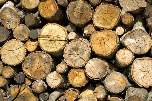 The Canada-US Softwood Lumber Agreement expires on Oct. 12, 2015.